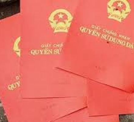 THÊM 5 TRƯỜNG HỢP ĐƯỢC CẤP SỔ ĐỎ NĂM 2019